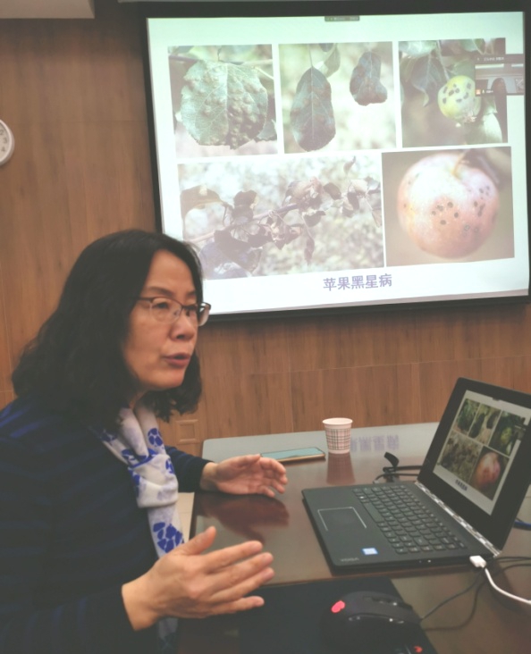 黄丽丽教授作学术报告.jpg