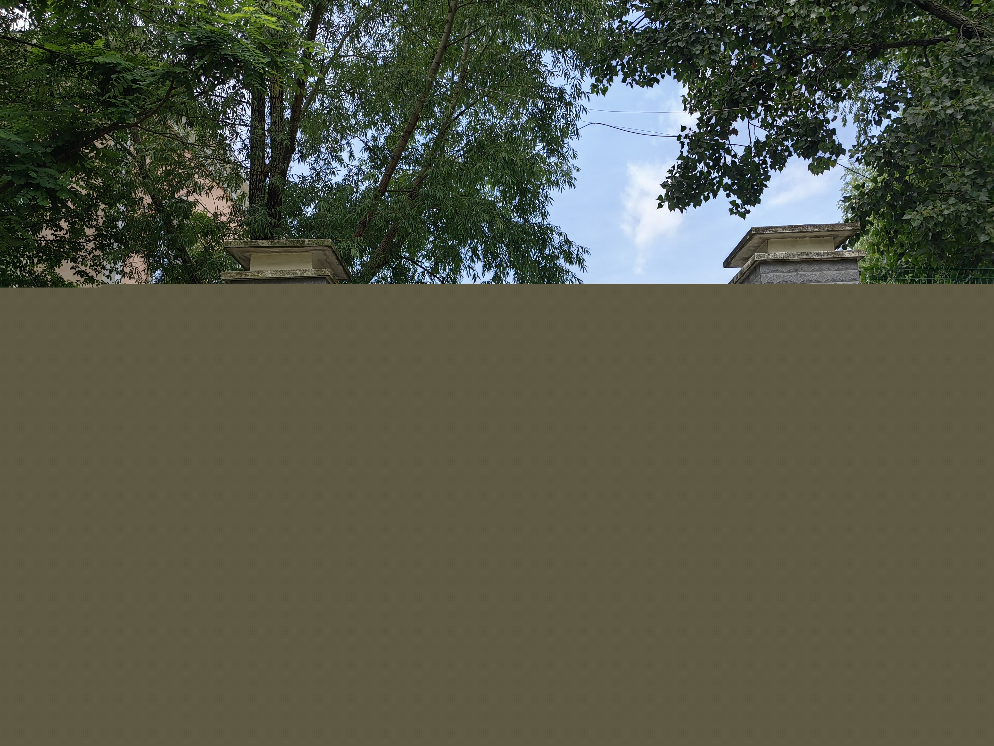 f46054b6182e4b72a34a20e16b832cc4.jpg